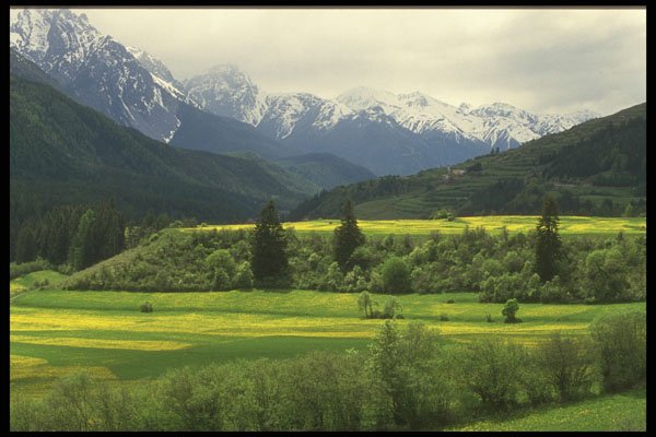 513018 Spring In Engadine, Switzerland A4 Photo Print