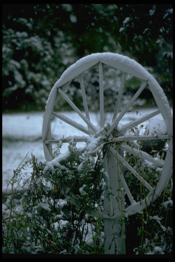 513028 Winter Carriage Wheel, New York A4 Photo Print