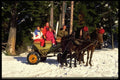 513033 Borcuets, Bulgaria A4 Photo Print