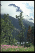 513038 Glacier National Park In Summer, Montana A4 Photo Print