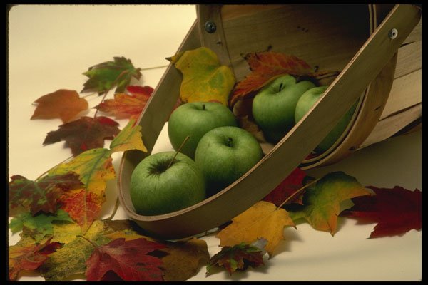 513041 Basket Of Apples A4 Photo Print