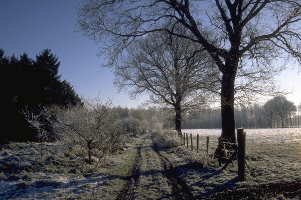 513045 Winter Sight, Belgium A4 Photo Print