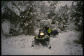 513047 Towing The Kids On Sled A4 Photo Print