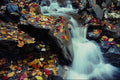 513064 Waterfalls In Autumn, Quebec, Canada A4 Photo Print