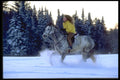 513070 Woman With Horse, Quebec, Canada A4 Photo Print