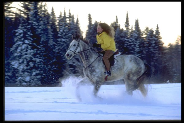 513070 Woman With Horse, Quebec, Canada A4 Photo Print