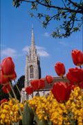 513076 English Church In Spring A4 Photo Print