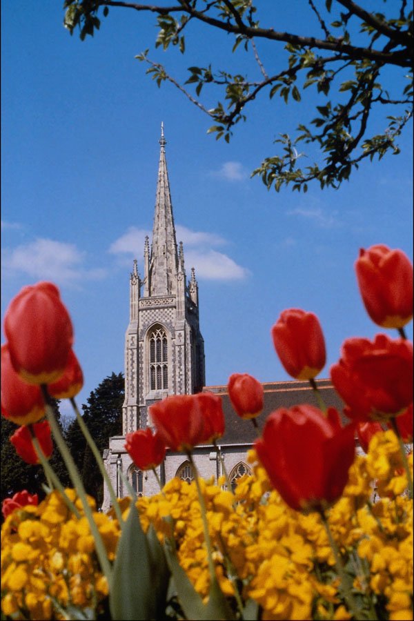 513076 English Church In Spring A4 Photo Print