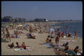 513084 Falmouth Beach, Cape Cod, Massachusetts A4 Photo Print