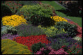 514089 Garden Setting A4 Photo Print