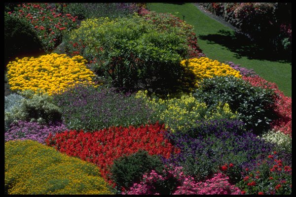 514089 Garden Setting A4 Photo Print