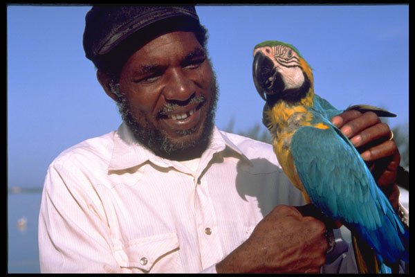 515033 Man And Parrot, Jamaica A4 Photo Print