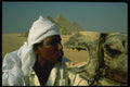 515052 A Camel And His Owner Kissing, Cairo, Egypt A4 Photo Print