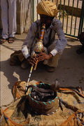 515056 Snake Charmer, Delhi, India A4 Photo Print