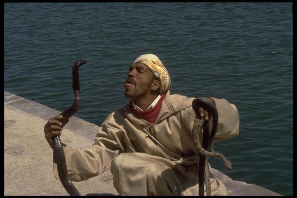 515064 Snake Charmer In Marrakech, Morocco A4 Photo Print