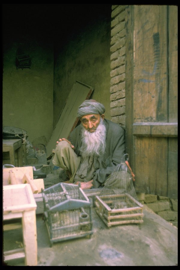 515069 Bird Shop In Herat, Afghanistan A4 Photo Print