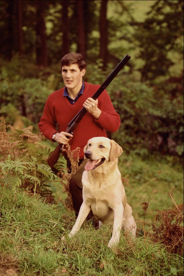 515095 Man With Labrador Dog And Twelve Bore Shotgun, England A4 Photo Print