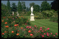 516002 A Delightful Rose Garden, London, England A4 Photo Print