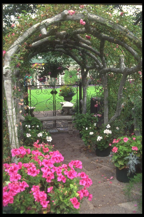 516010 Arch And Flowers, Victoria, British Columbia, Canada A4 Photo Print