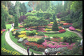 516011 The Sunken Garden, Victoria, British Columbia, Canada A4 Photo Print