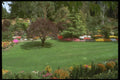 516014 More Gardens A4 Photo Print