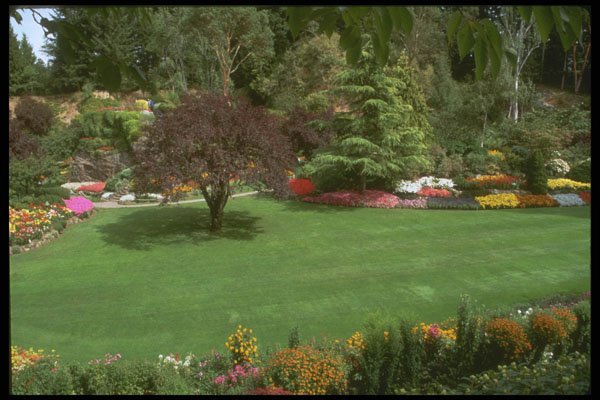 516014 More Gardens A4 Photo Print