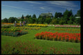 516017 Flower Gardens A4 Photo Print