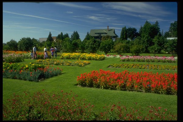 516017 Flower Gardens A4 Photo Print