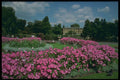 516020 Royal Botanical Gardens At Kew, London, England A4 Photo Print