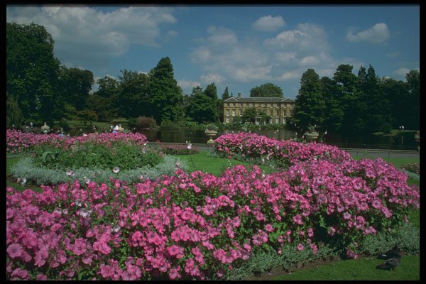 516020 Royal Botanical Gardens At Kew, London, England A4 Photo Print