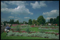 516021 Kew Gardens, London, England A4 Photo Print