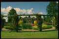 516028 Gardens Of The Rose, St. Albans, England A4 Photo Print