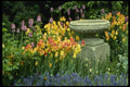 516033 Front Garden Of House In Westmount, Quebec, Canada A4 Photo Print