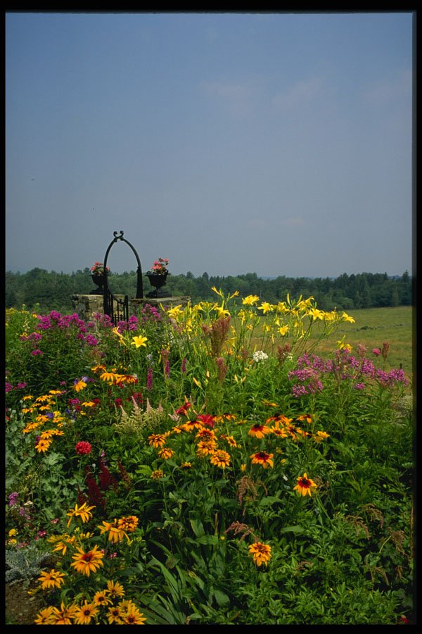 516035 Garden Of Mitchell House, Knowlton, Quebec, Canada A4 Photo Print