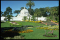 516036 Golden Gate Park, San Francisco, California A4 Photo Print