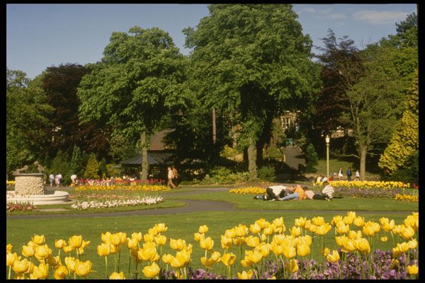 516038 Valley Gardens, Harrogate, England A4 Photo Print
