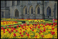 516040 Newstead Abbey, Notts, England A4 Photo Print