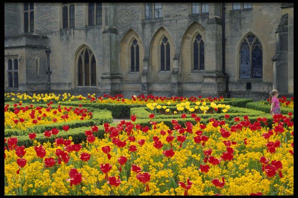 516040 Newstead Abbey, Notts, England A4 Photo Print