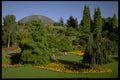 516041 Queen Elizabeth Park, Vancouver, British Columbia, Canada A4 Photo Print