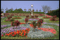 516048 Flower Garden, Devon, England A4 Photo Print