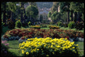 516049 Monte Carlo A4 Photo Print
