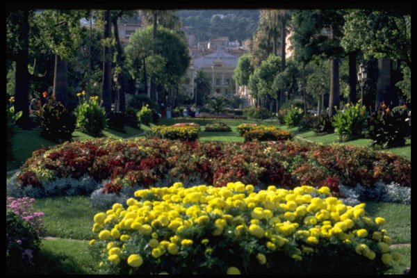 516049 Monte Carlo A4 Photo Print