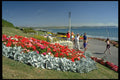 516053 Public Gardens At Weymouth, Dorset, England A4 Photo Print