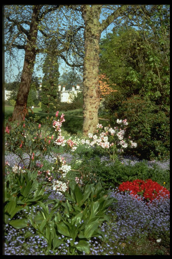 516055 Windsor Castle Home Park, Frogmore, England A4 Photo Print