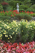 516056 Butchart Gardens, Victoria, British Columbia, Canada A4 Photo Print