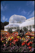 516058 Belfast, Palm House, Botanical Gardens, Ireland A4 Photo Print