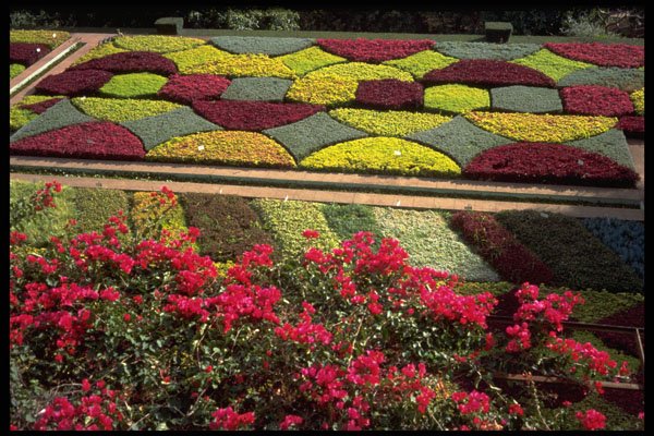 516063 Botanical gardens, Funchal, Madeira A4 Photo Print