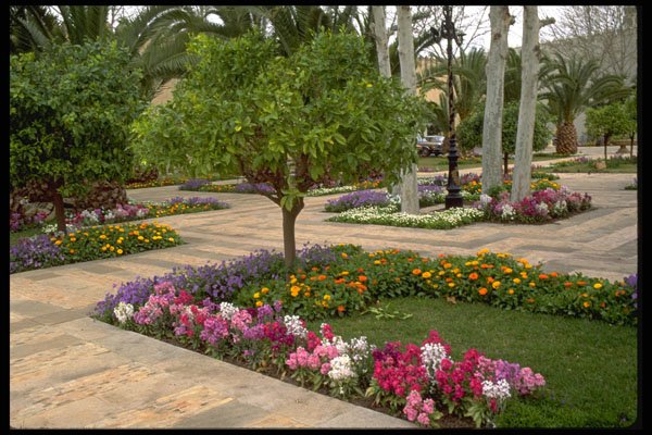 516067 Fes Gardens, Royal Palace, Morocco A4 Photo Print