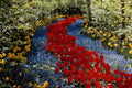 516081 Keukenhof In Holland A4 Photo Print