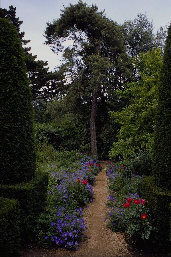 516083 English Country Garden, England A4 Photo Print